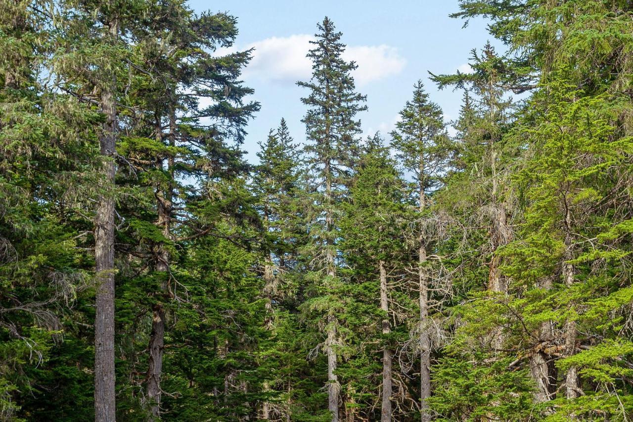 Vail Chalet Гирдвуд Экстерьер фото